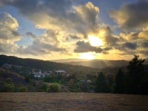 Moraga movers