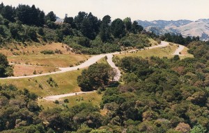 Orinda movers